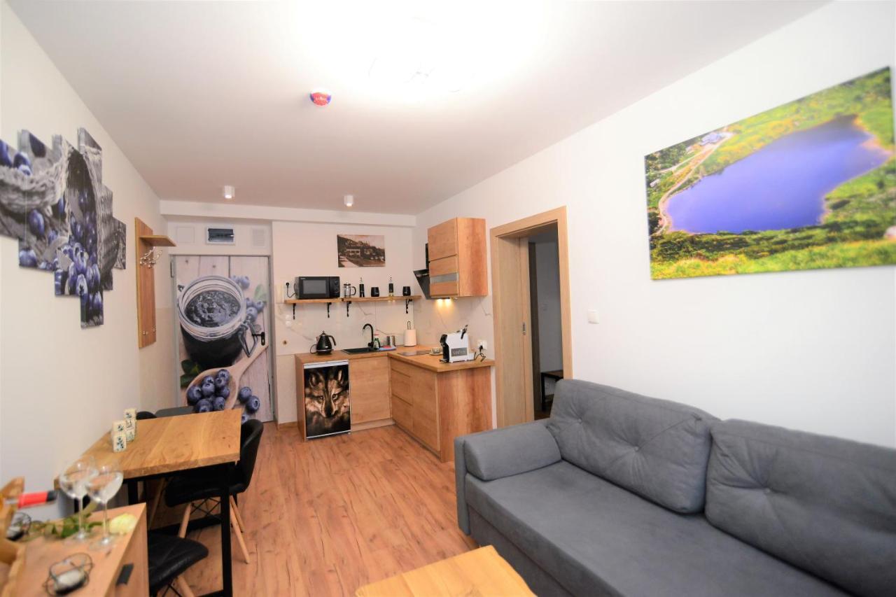 Apartament De Luxe Emily Karpacz Exterior foto